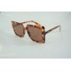 SUNGLASSES  3927