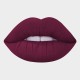 Lorin Liquid Lip Matte #26 (Mulberry)