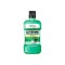 Listerine Teeth & Gum Defence Στοματικό Διάλυμα κατά της Πλάκας 500ml