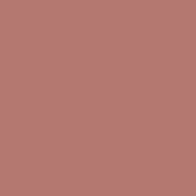 Lavish Care Matte Liquid Lipcolor Xtra Long Lasting 21