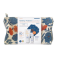 Korres Promo Greek Yoghurt Tinted spf 50 & Greek Yoghurt Foam Cleanser 20ml