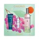 CAUDALIE- The Glow Bestsellers