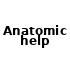 Anatomic help